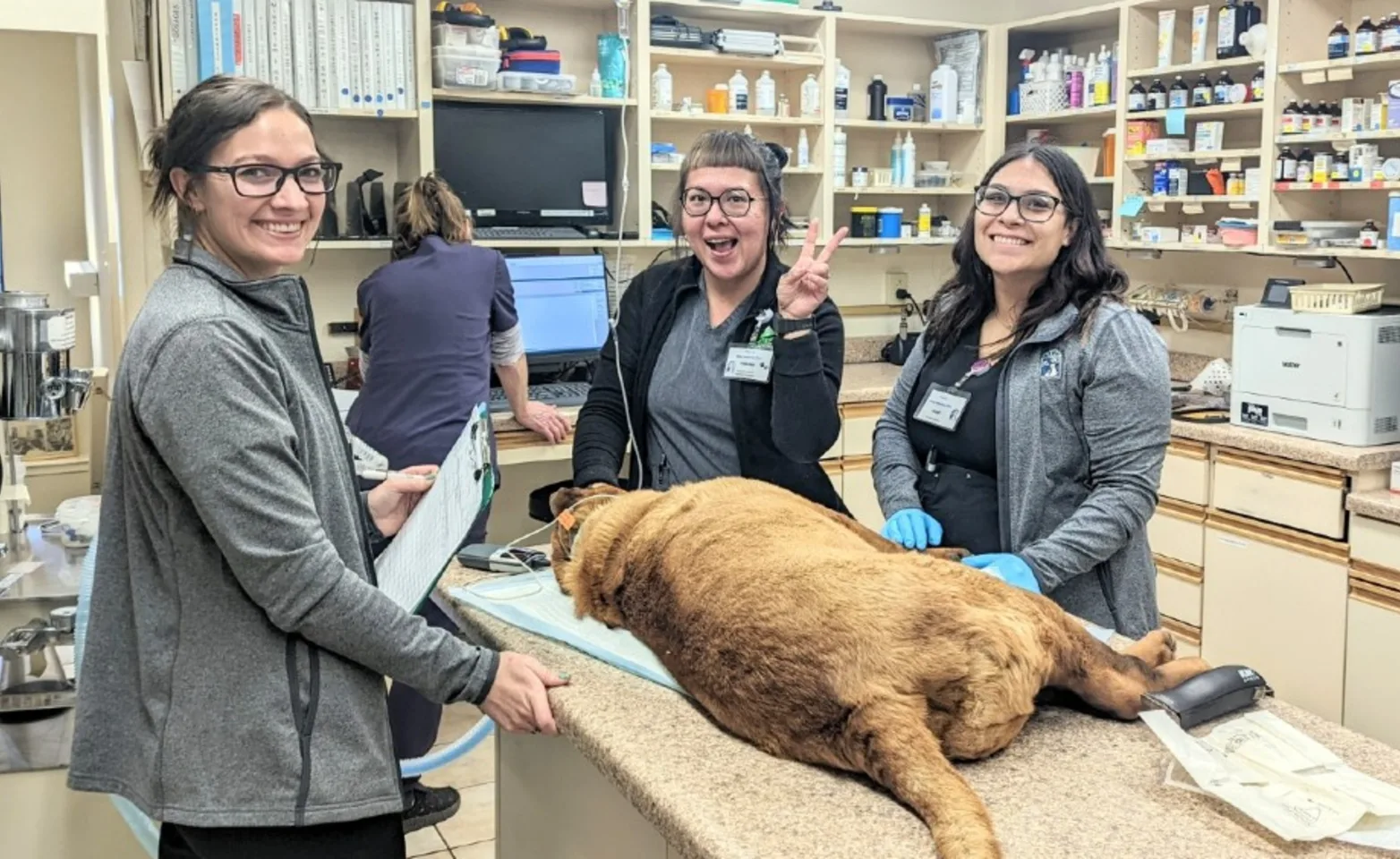 Three staff members of Valley Veterinary Clinic Pet Lodge and Salon posing with a dog being treated